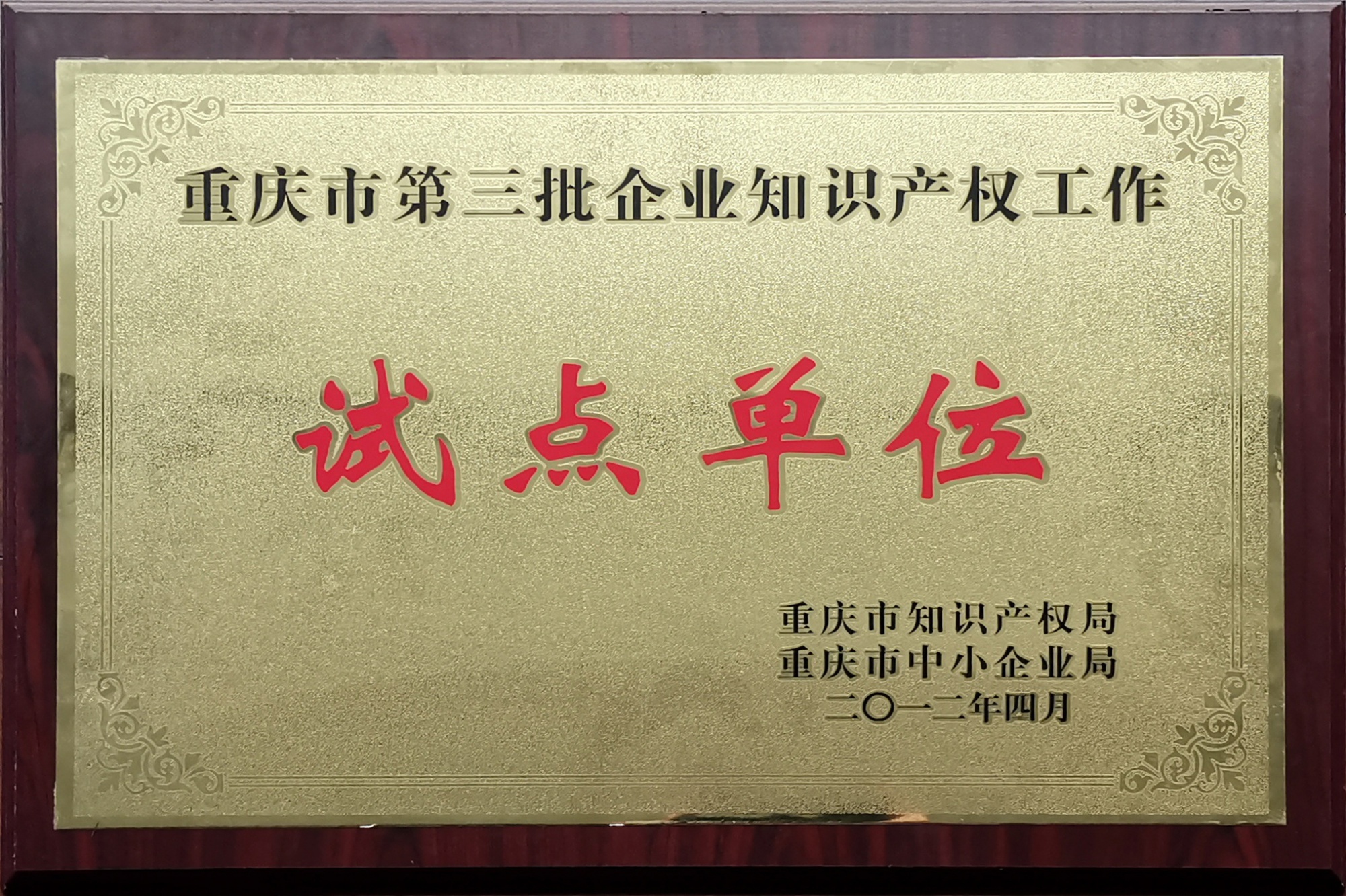 The third batch of pilot units for enterprise intellectual property work in Chongqing